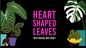 Heart Shaped Leaves