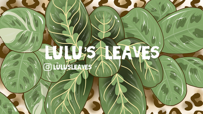 Lulu&#39;s Leaves