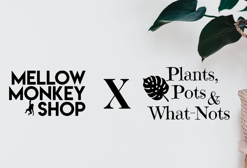 Plants, Pots, &amp; What-nots Collection